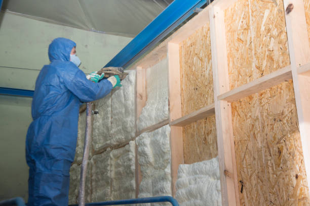 Best Attic Insulation Installation  in Flora, AL